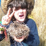 bodie-clay-stick-nest-2